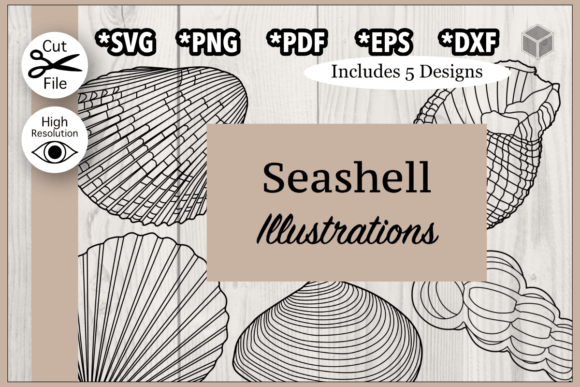Download Detailed Seashells Outline Bundle - Sea Collection