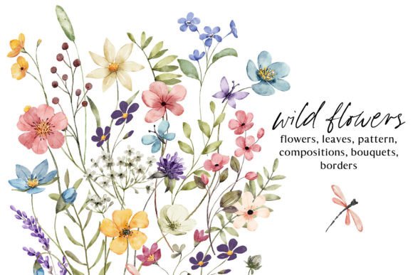 Download Wild Flowers, Butterflies and Dragonfly. - Premium Resources