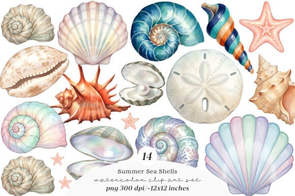 Download Sea Shells Clipart Bundle - Sea Collection